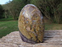 Polished Flower Dream Amethyst Standing Free Forms x 2 From Madagascar - TopRock