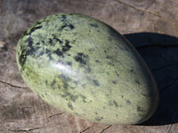 Polished Leopard Stone Gallets x 6 From Zimbabwe - TopRock