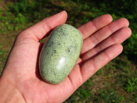 Polished Leopard Stone Gallets x 6 From Zimbabwe - TopRock