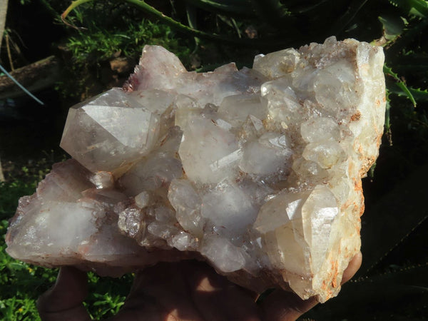 Natural Self Healed Floater Hematoid Quartz Cluster x 1 From Zimbabwe - TopRock