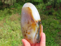 Polished Dendritic Agate Standing Free Forms x 3 From Moralambo, Madagascar - TopRock