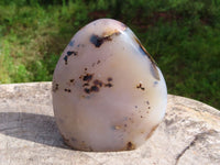 Polished Dendritic Agate Standing Free Forms x 3 From Moralambo, Madagascar - TopRock