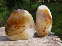 Polished Dendritic Agate Standing Free Forms x 3 From Moralambo, Madagascar - TopRock