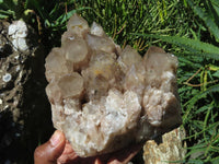 Natural Smokey Phantom Quartz Cluster x 1 From Lwena, Congo - TopRock