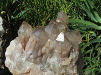 Natural Smokey Phantom Quartz Cluster x 1 From Lwena, Congo - TopRock