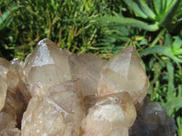 Natural Smokey Phantom Quartz Cluster x 1 From Lwena, Congo - TopRock