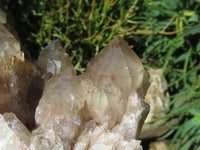 Natural Smokey Phantom Quartz Cluster x 1 From Lwena, Congo - TopRock