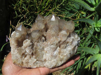 Natural Smokey Phantom Quartz Cluster x 1 From Lwena, Congo - TopRock