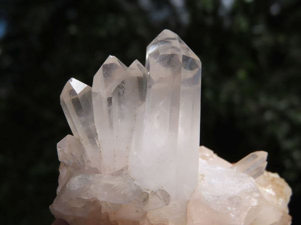 Natural Optic to Semi Optic Small Quartz Clusters x 24 From Madagascar - TopRock