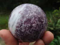 Polished Lepidolite Spheres One With Rubellite Pink Tourmaline x 4 From Madagascar - TopRock