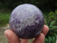 Polished Lepidolite Spheres One With Rubellite Pink Tourmaline x 4 From Madagascar - TopRock