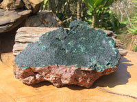 Natural Malachite Specimen x 1 From Tenke Fungurume, Congo - TopRock