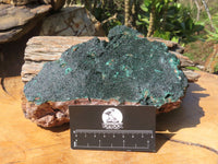 Natural Malachite Specimen x 1 From Tenke Fungurume, Congo - TopRock