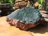 Natural Malachite Specimen x 1 From Tenke Fungurume, Congo - TopRock