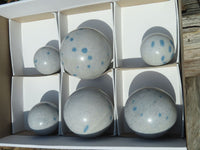 Polished Blue Spotted Spinel Spheres x 6 From Madagascar - TopRock