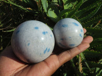 Polished Blue Spotted Spinel Spheres x 6 From Madagascar - TopRock