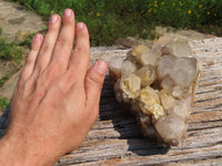 Natural Smokey Phantom Quartz Cluster x 1 From Lwena, Congo - TopRock