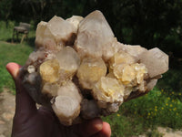 Natural Smokey Phantom Quartz Cluster x 1 From Lwena, Congo - TopRock