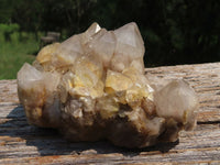 Natural Smokey Phantom Quartz Cluster x 1 From Lwena, Congo - TopRock