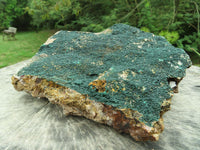 Natural XXL Rare Drusy Microbotryoidal Crystalline Malachite on Matrix  x 1 From Congo - TopRock