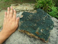 Natural XXL Rare Drusy Microbotryoidal Crystalline Malachite on Matrix  x 1 From Congo - TopRock