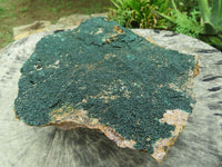 Natural XXL Rare Drusy Microbotryoidal Crystalline Malachite on Matrix  x 1 From Congo - TopRock