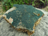 Natural XXL Rare Drusy Microbotryoidal Crystalline Malachite on Matrix  x 1 From Congo - TopRock