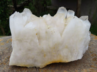 Natural Clear Madagascar Quartz Cluster x 1 From Madagascar - TopRock