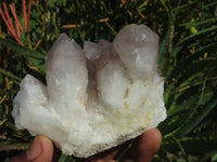 Natural Hematoid Quartz Clusters x 6 From Karoi, Zimbabwe - TopRock