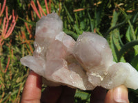 Natural Hematoid Quartz Clusters x 6 From Karoi, Zimbabwe - TopRock