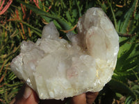 Natural Hematoid Quartz Clusters x 6 From Karoi, Zimbabwe - TopRock