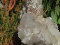 Natural Hematoid Quartz Clusters x 6 From Karoi, Zimbabwe - TopRock