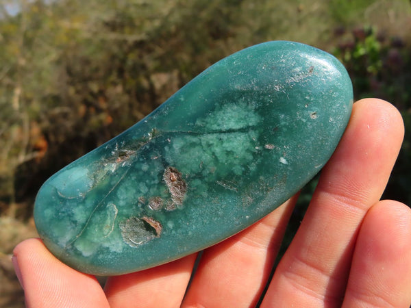 Polished Mtorolite Whole Free Forms x 13 From Mutorashanga, Zimbabwe - TopRock